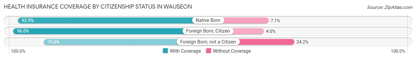 Health Insurance Coverage by Citizenship Status in Wauseon