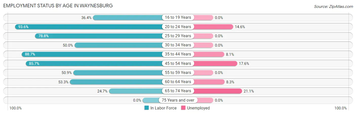 Employment Status by Age in Waynesburg