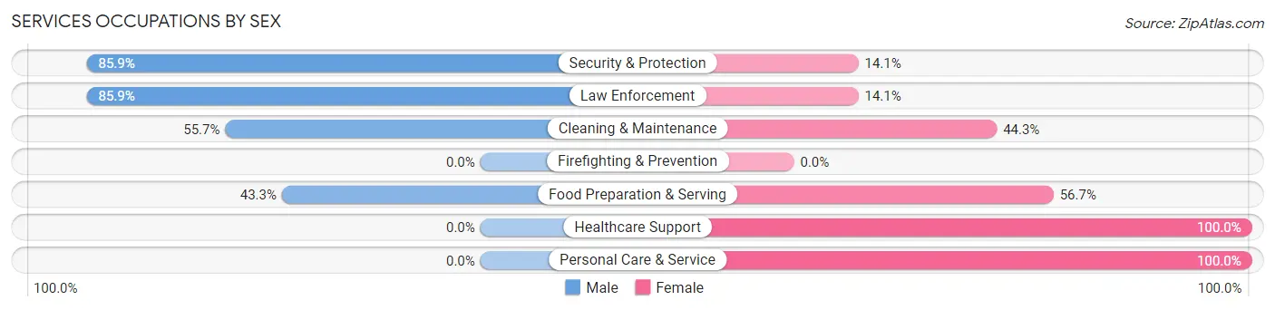 Services Occupations by Sex in Waynesville