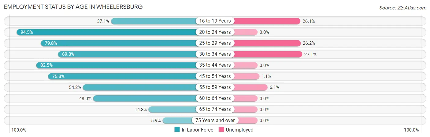 Employment Status by Age in Wheelersburg
