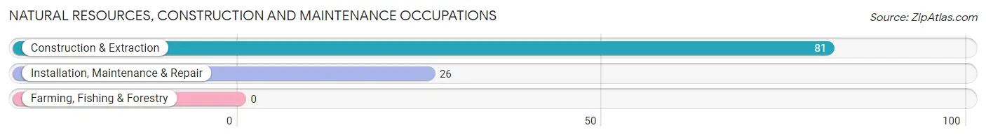 Natural Resources, Construction and Maintenance Occupations in Wheelersburg