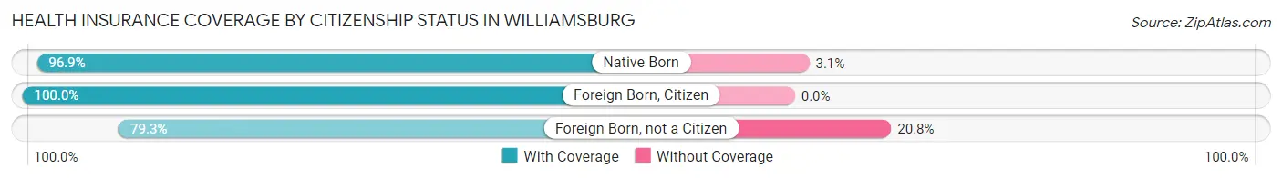 Health Insurance Coverage by Citizenship Status in Williamsburg