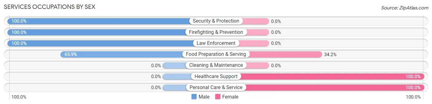 Services Occupations by Sex in Williamsport