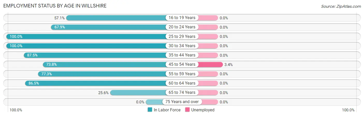 Employment Status by Age in Willshire