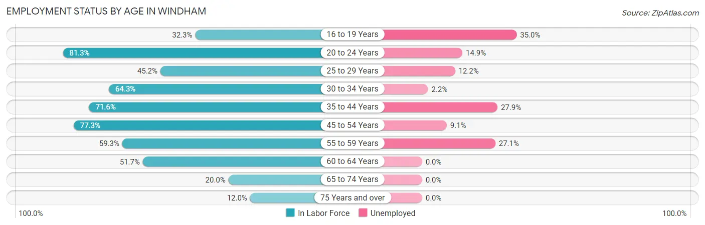 Employment Status by Age in Windham