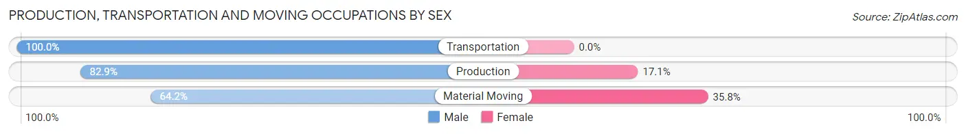 Production, Transportation and Moving Occupations by Sex in Windham