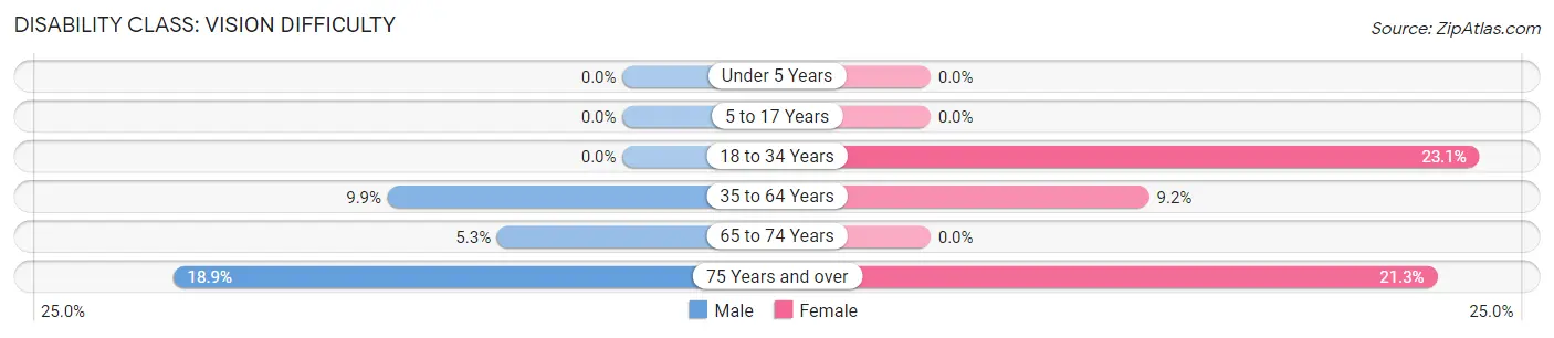 Disability in Windham: <span>Vision Difficulty</span>