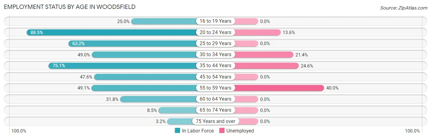 Employment Status by Age in Woodsfield