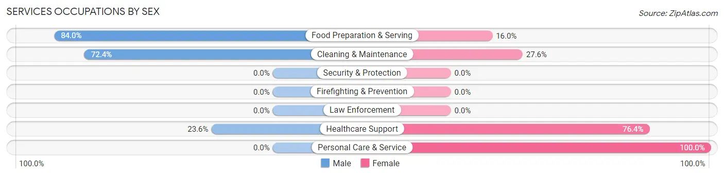 Services Occupations by Sex in Yellow Springs