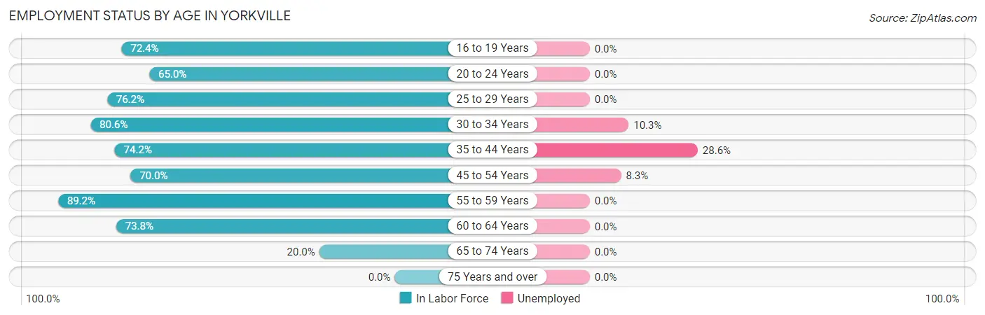 Employment Status by Age in Yorkville