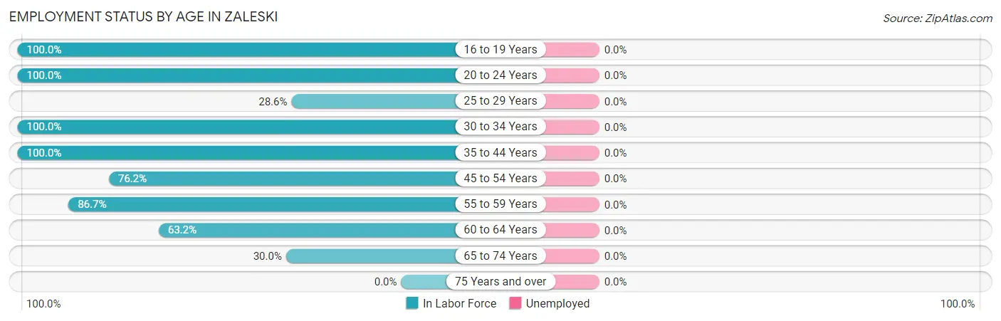 Employment Status by Age in Zaleski