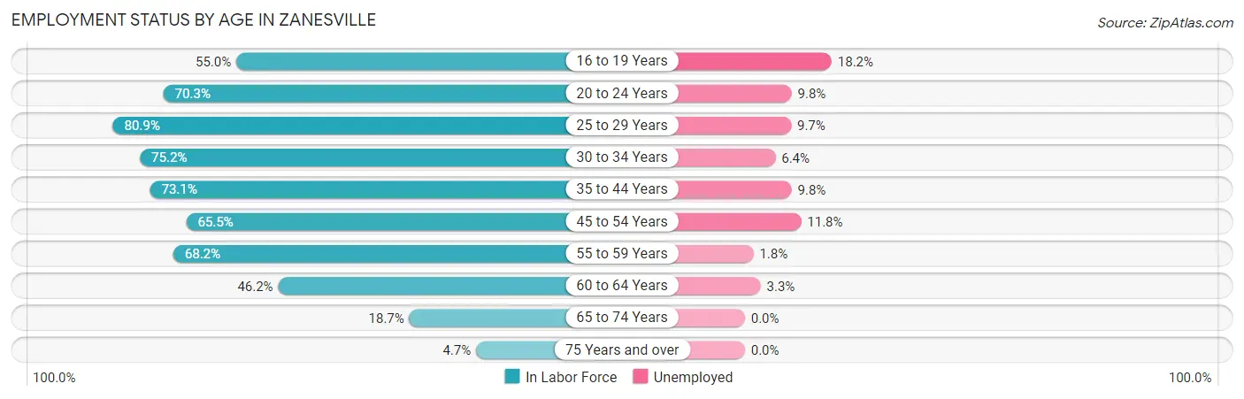 Employment Status by Age in Zanesville