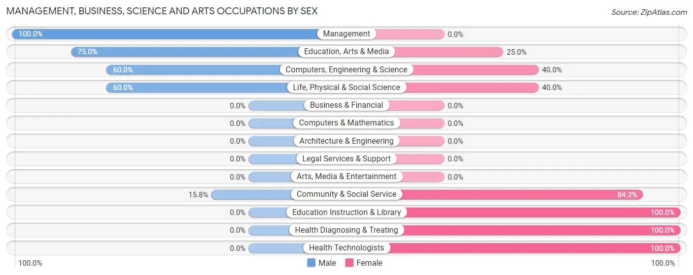 Management, Business, Science and Arts Occupations by Sex in Zoar