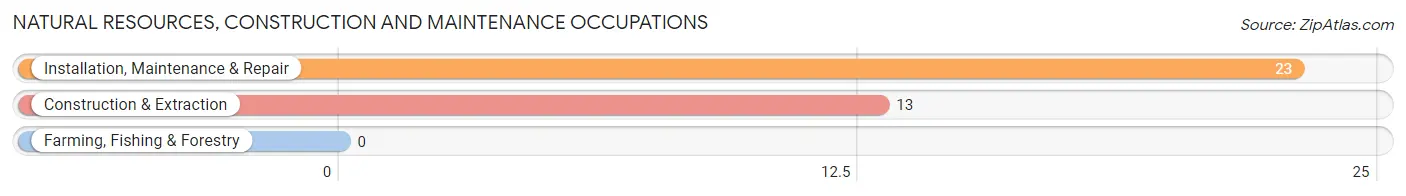 Natural Resources, Construction and Maintenance Occupations in Adair