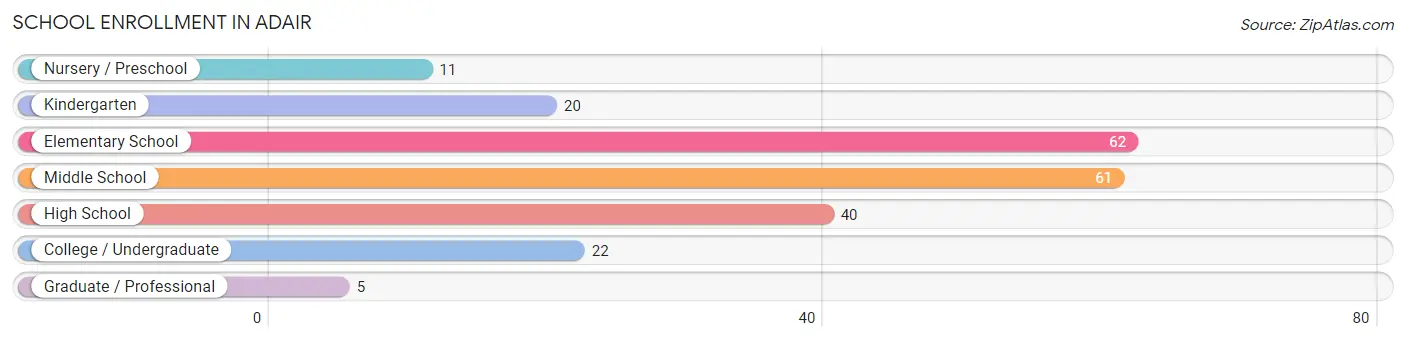 School Enrollment in Adair