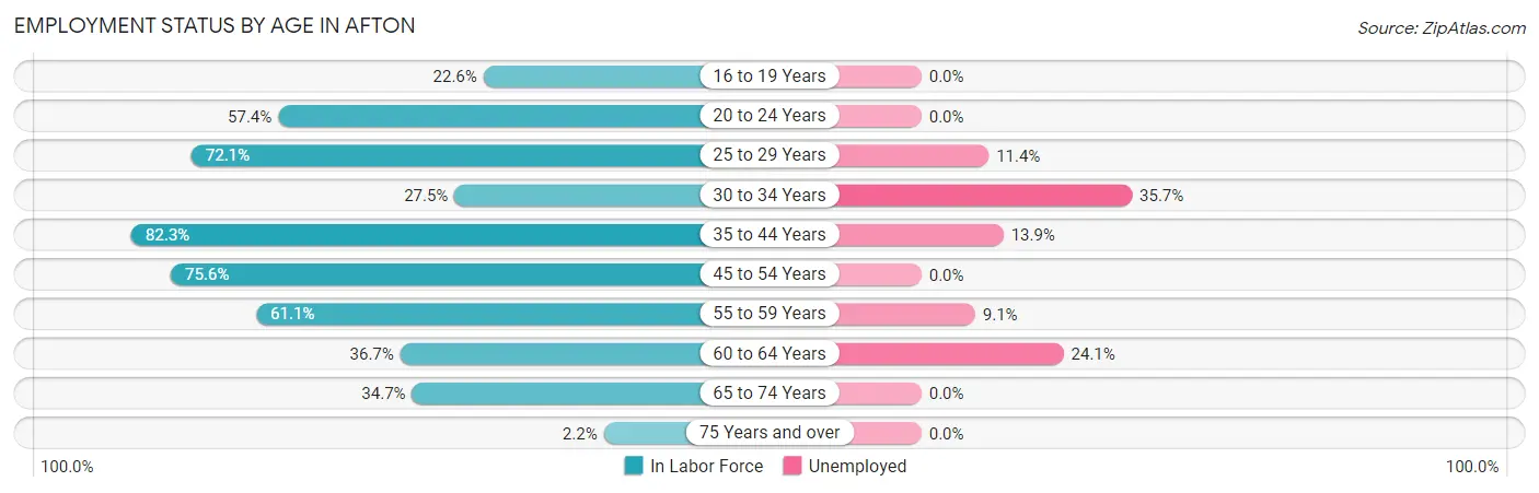 Employment Status by Age in Afton