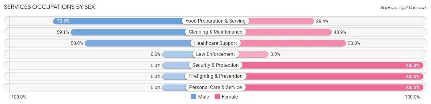 Services Occupations by Sex in Afton