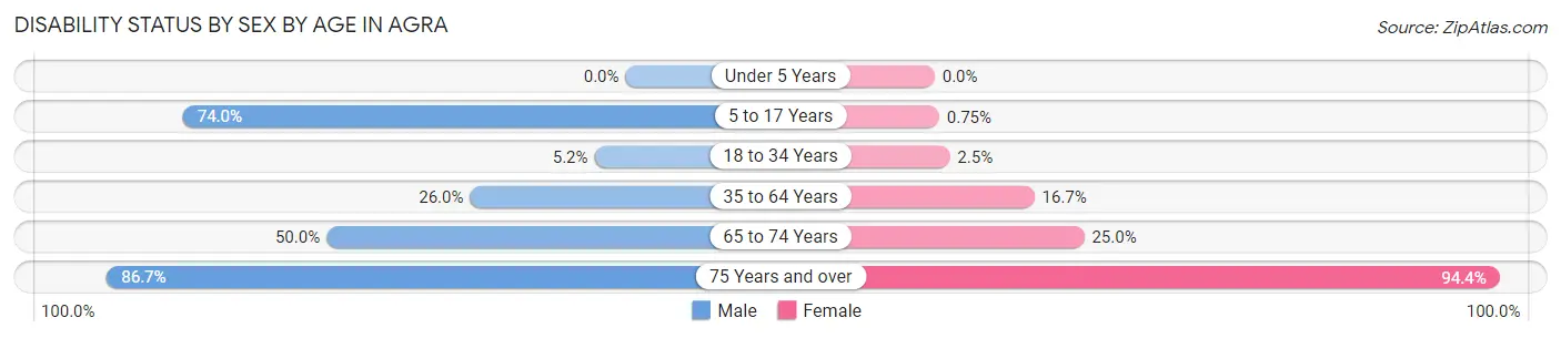 Disability Status by Sex by Age in Agra