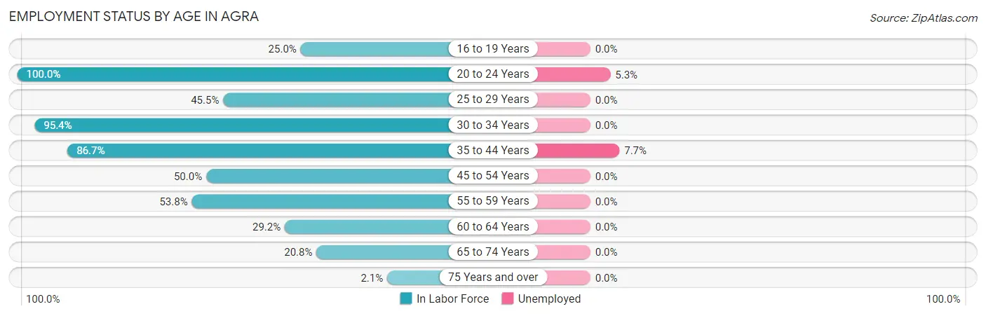 Employment Status by Age in Agra