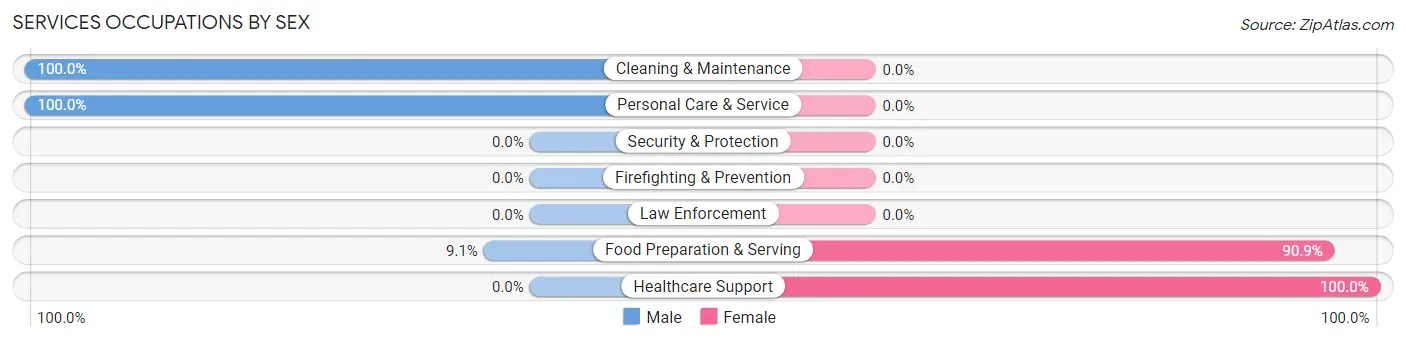 Services Occupations by Sex in Agra