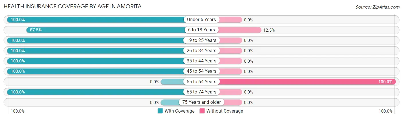 Health Insurance Coverage by Age in Amorita