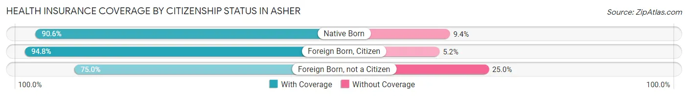 Health Insurance Coverage by Citizenship Status in Asher