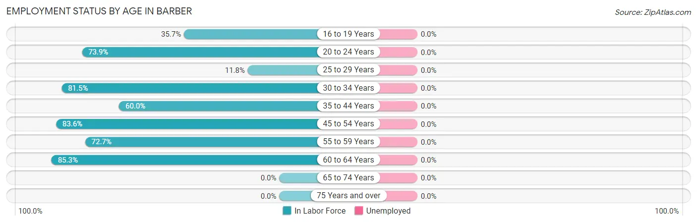 Employment Status by Age in Barber