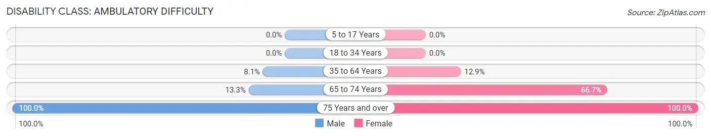 Disability in Bessie: <span>Ambulatory Difficulty</span>