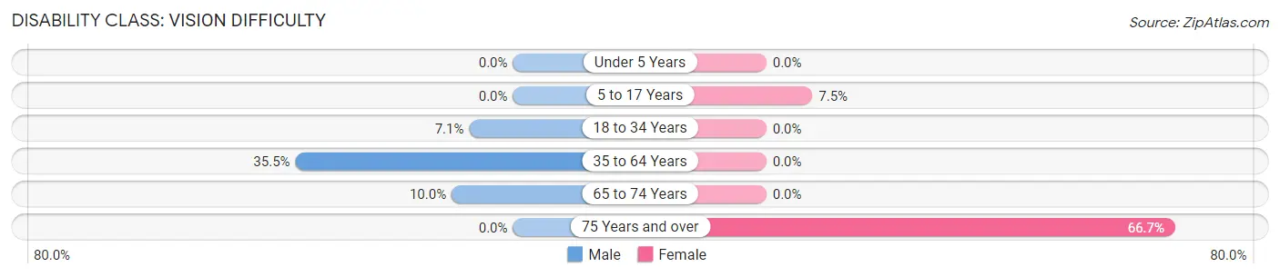 Disability in Bessie: <span>Vision Difficulty</span>