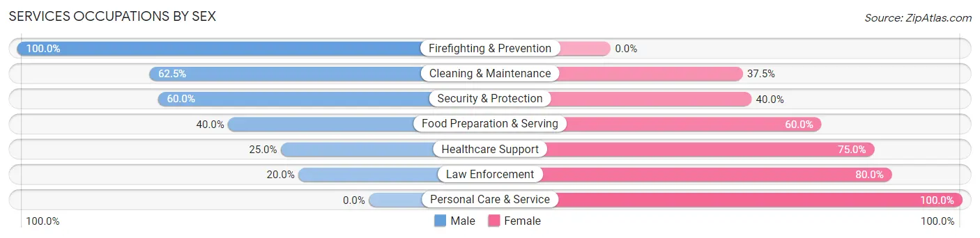 Services Occupations by Sex in Binger