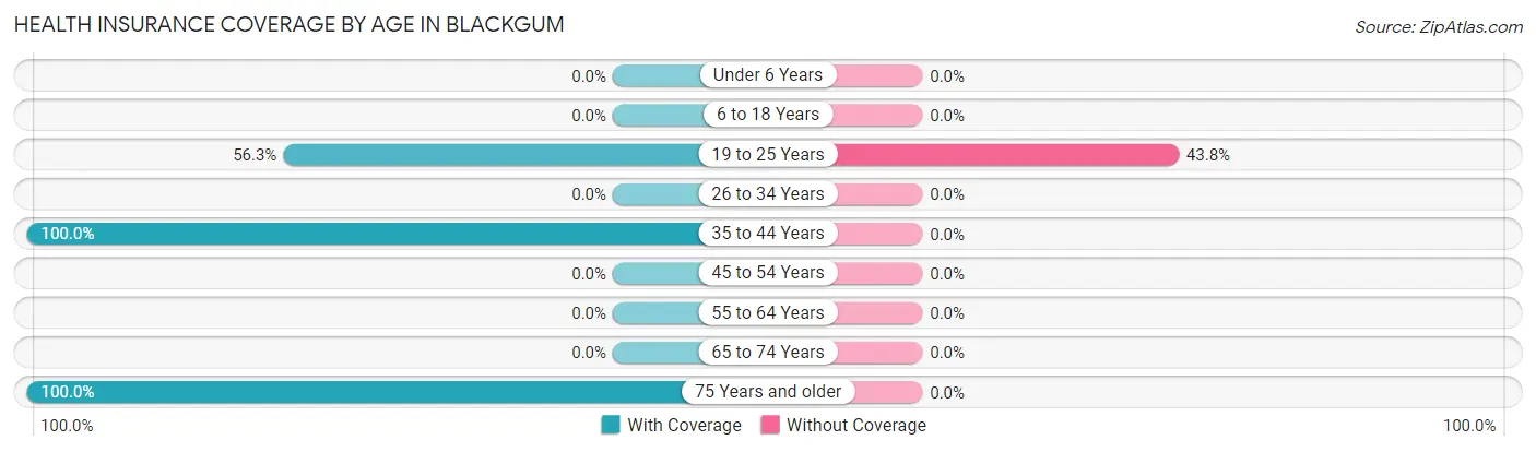 Health Insurance Coverage by Age in Blackgum