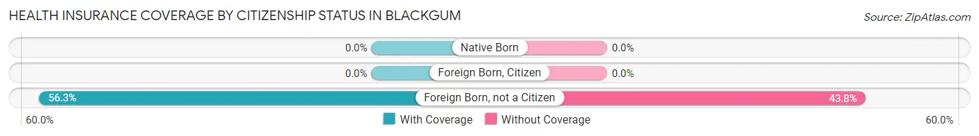 Health Insurance Coverage by Citizenship Status in Blackgum