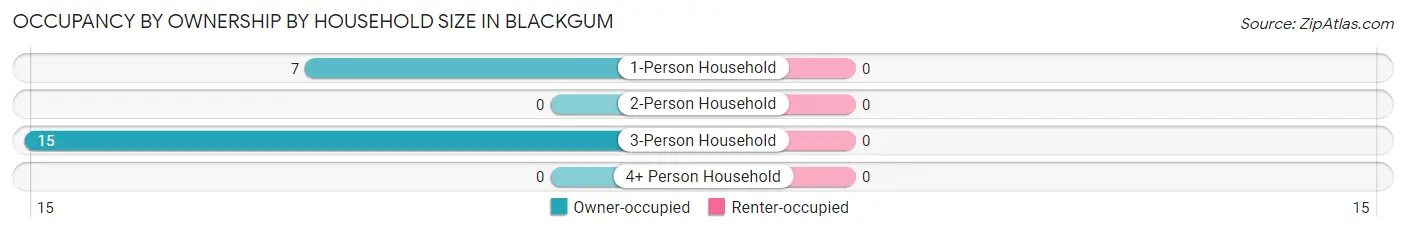 Occupancy by Ownership by Household Size in Blackgum