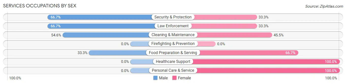 Services Occupations by Sex in Blair