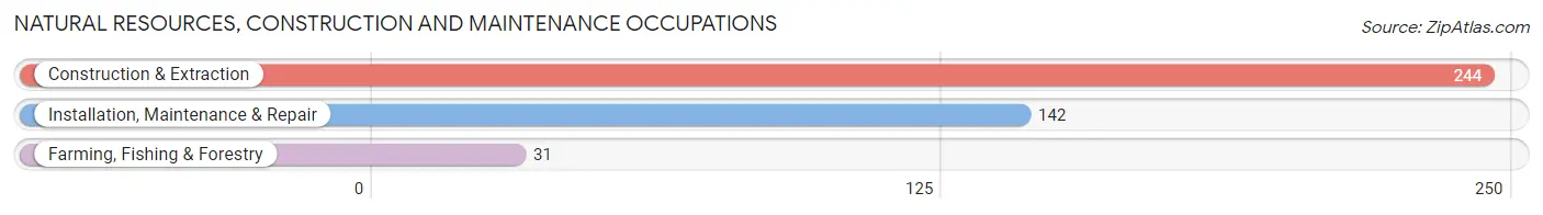 Natural Resources, Construction and Maintenance Occupations in Blanchard