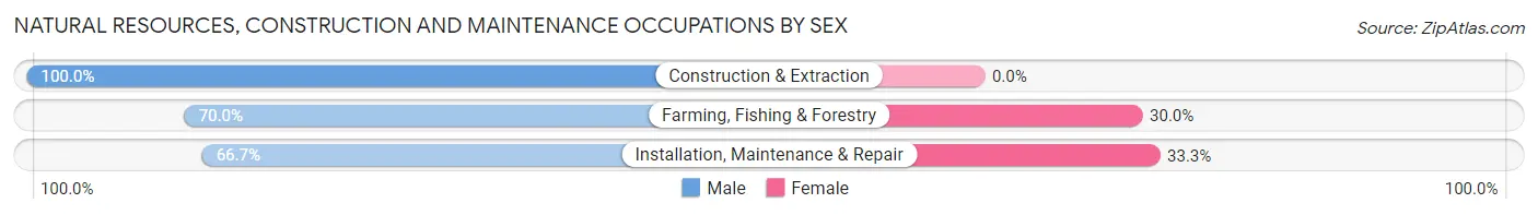 Natural Resources, Construction and Maintenance Occupations by Sex in Bluejacket