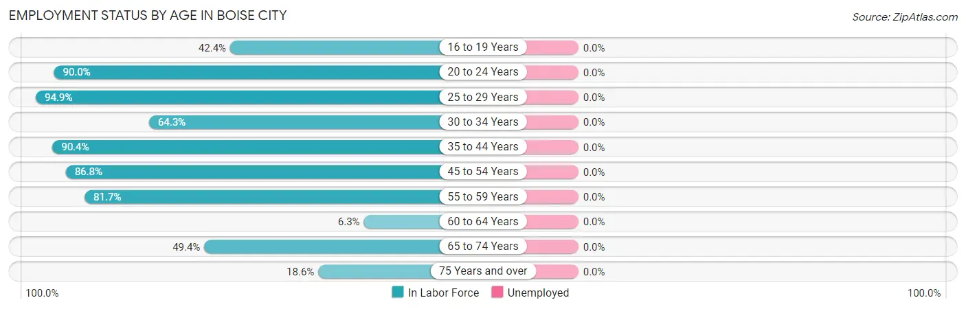 Employment Status by Age in Boise City
