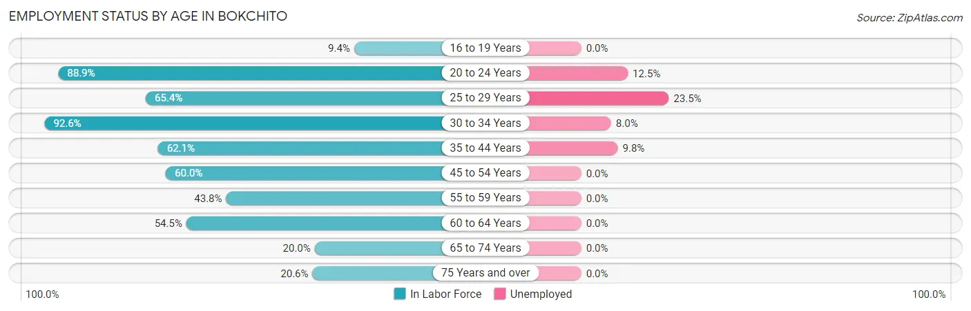Employment Status by Age in Bokchito