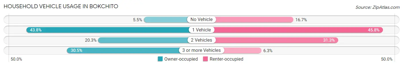 Household Vehicle Usage in Bokchito