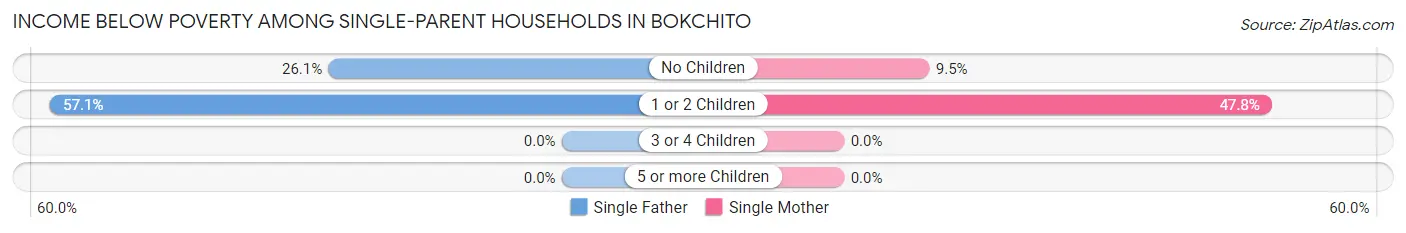 Income Below Poverty Among Single-Parent Households in Bokchito
