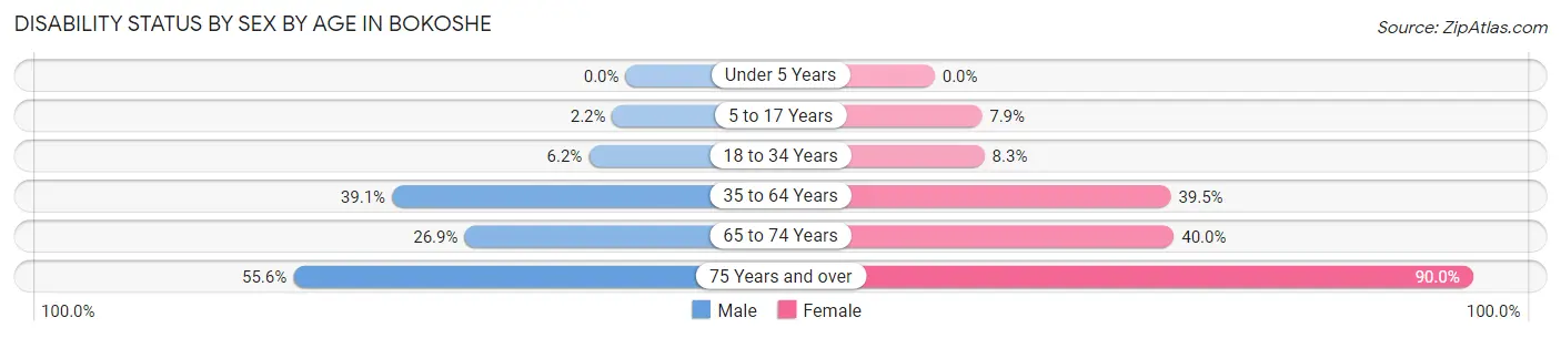 Disability Status by Sex by Age in Bokoshe