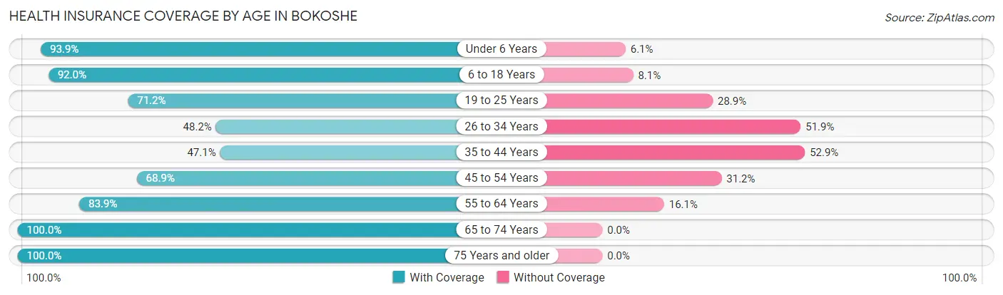Health Insurance Coverage by Age in Bokoshe