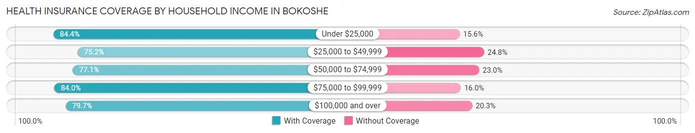 Health Insurance Coverage by Household Income in Bokoshe