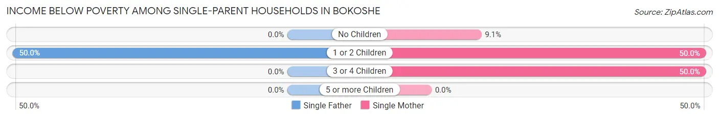 Income Below Poverty Among Single-Parent Households in Bokoshe