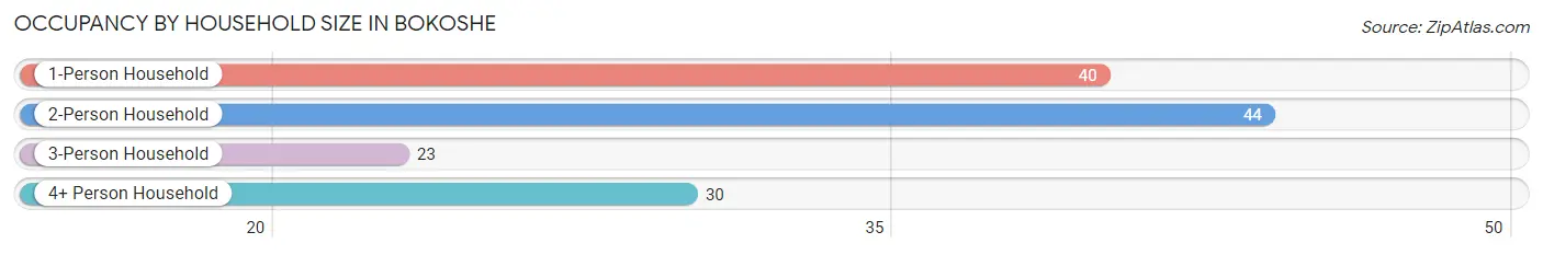 Occupancy by Household Size in Bokoshe