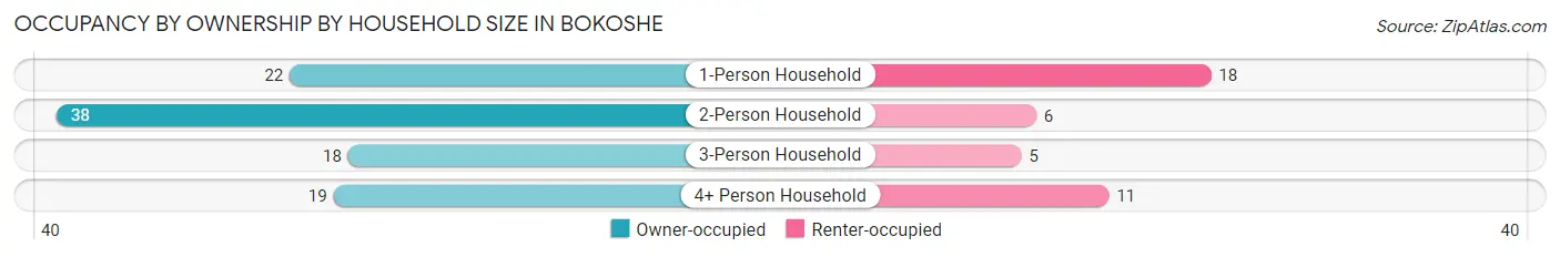Occupancy by Ownership by Household Size in Bokoshe