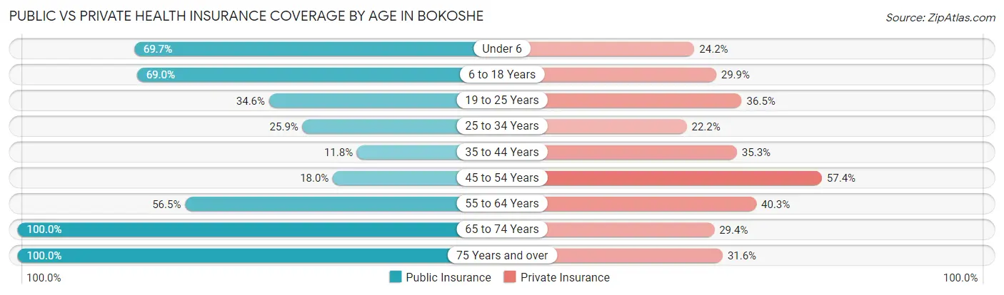 Public vs Private Health Insurance Coverage by Age in Bokoshe