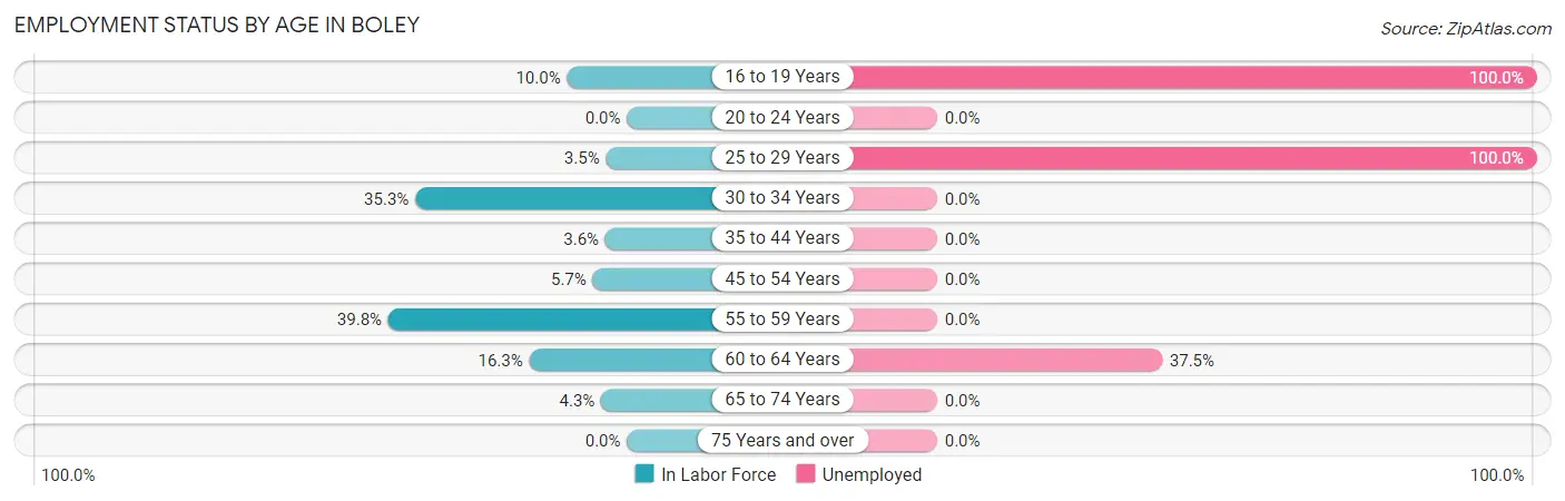 Employment Status by Age in Boley