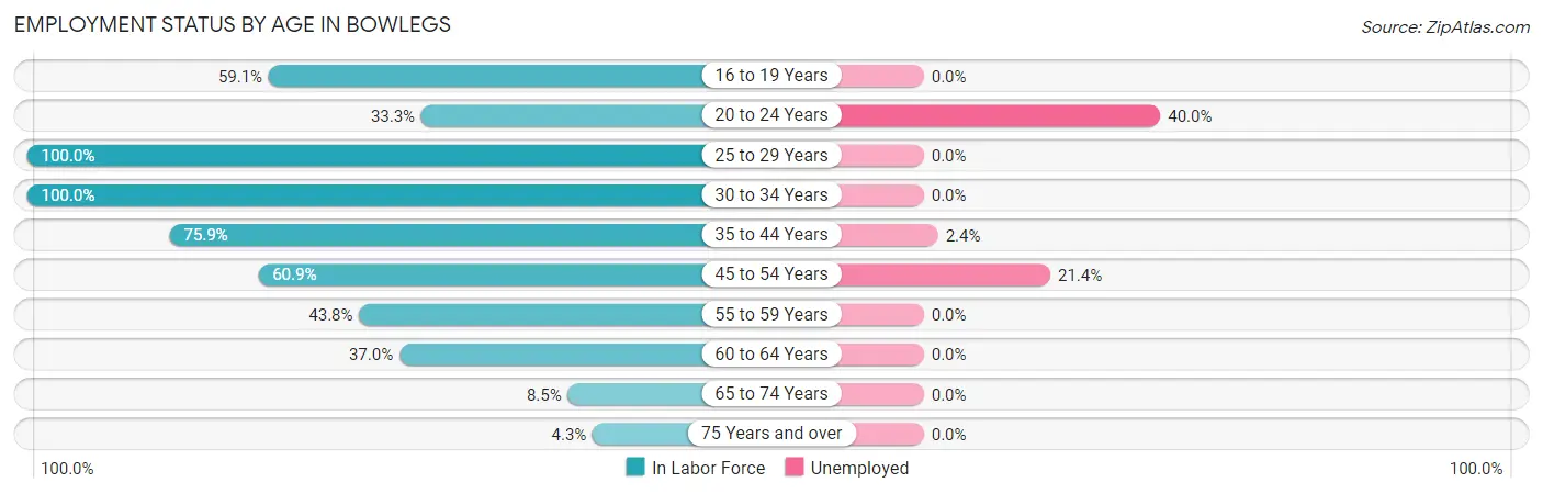 Employment Status by Age in Bowlegs
