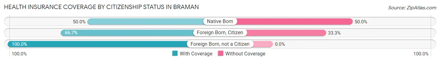 Health Insurance Coverage by Citizenship Status in Braman